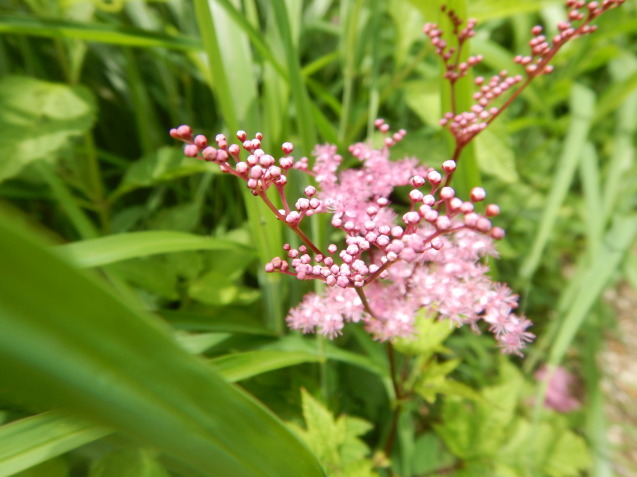f0118332_17171031.jpg
