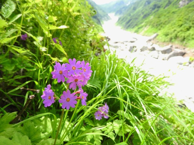f0118332_17172247.jpg