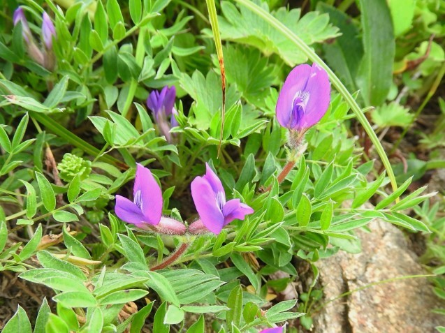 f0118332_17192375.jpg
