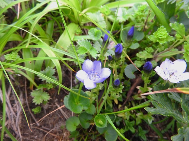f0118332_17201565.jpg
