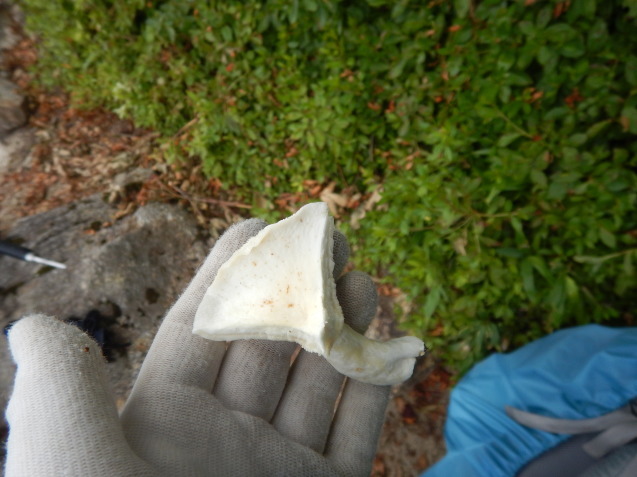 f0118332_17262527.jpg