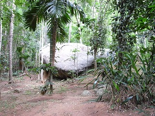 a0018237_16161670.jpg