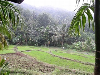 a0018237_16174842.jpg