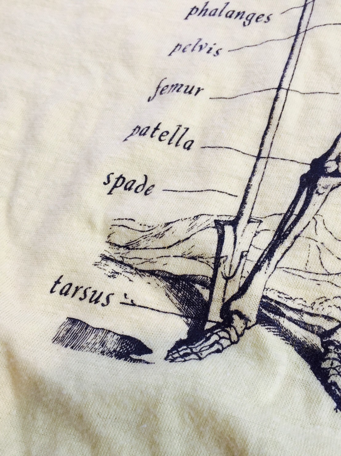 c0177238_14112056.jpg