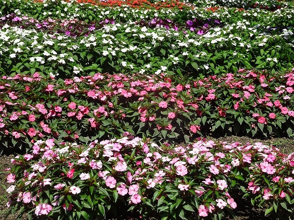 b0299042_10211389.jpg