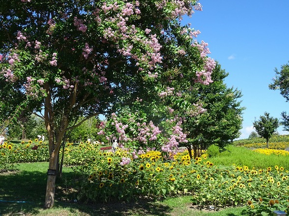b0299042_10215169.jpg