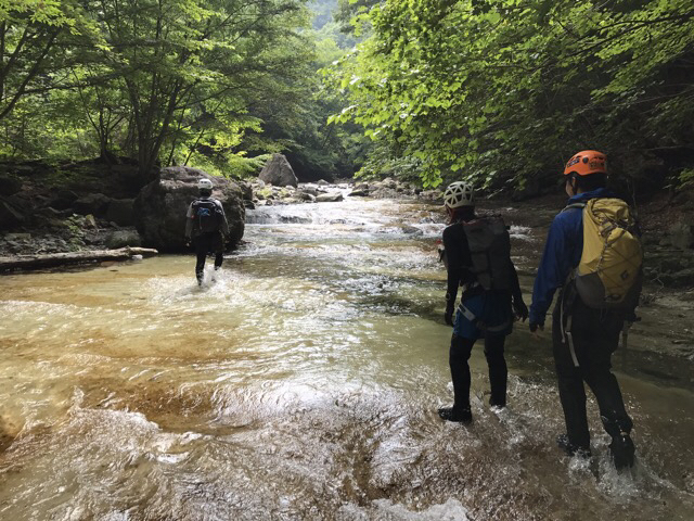 e0329049_20391519.jpg