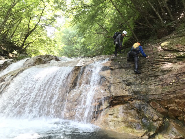 e0329049_21155757.jpg
