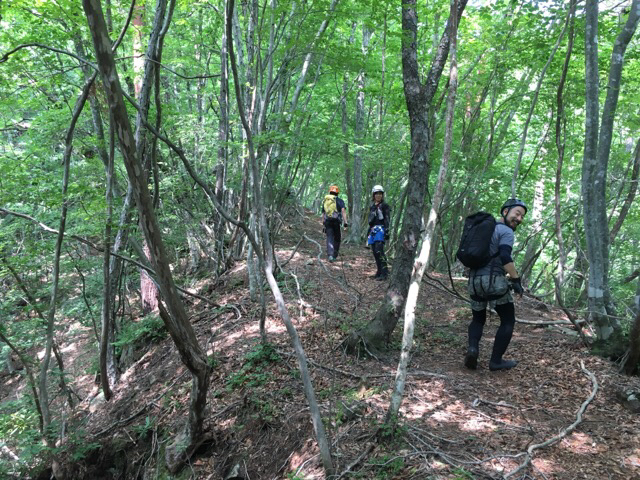 e0329049_21474213.jpg