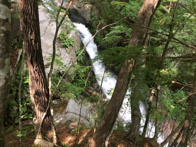 e0329049_21474224.jpg