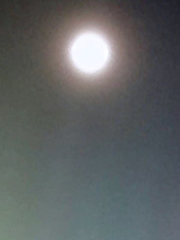 a0123450_07311223.jpg