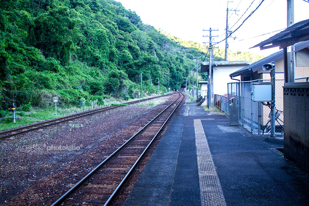 a0134950_04501740.jpg