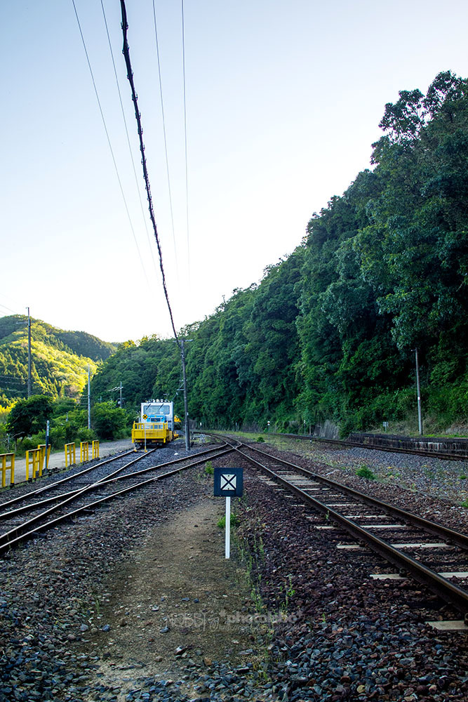 a0134950_04501867.jpg