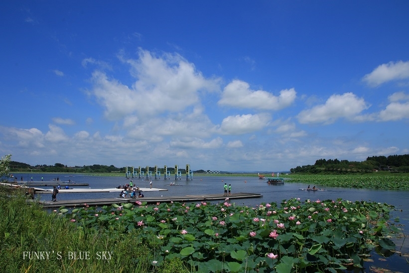 c0145250_10225007.jpg