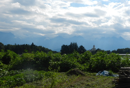 e0172950_21152626.jpg