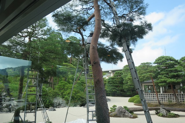f0202151_19582926.jpg