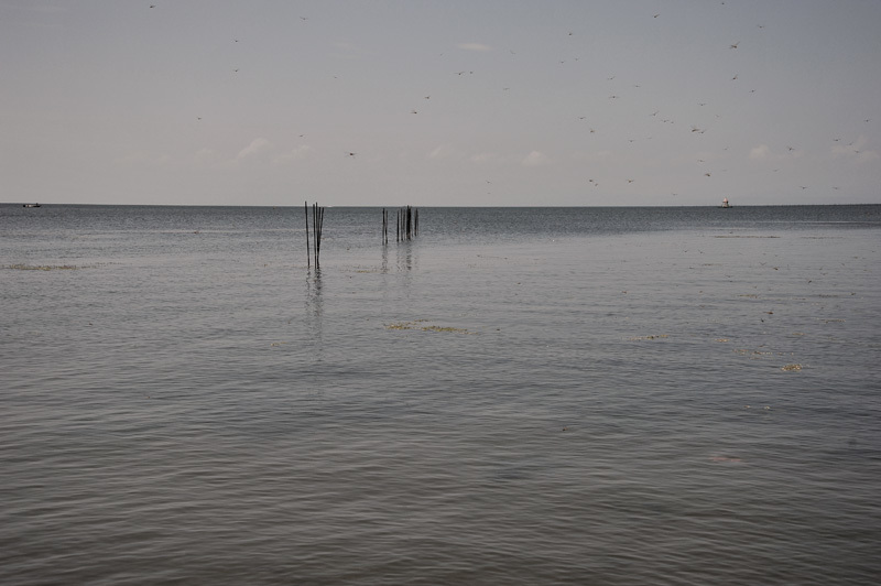 c0181552_15310026.jpg