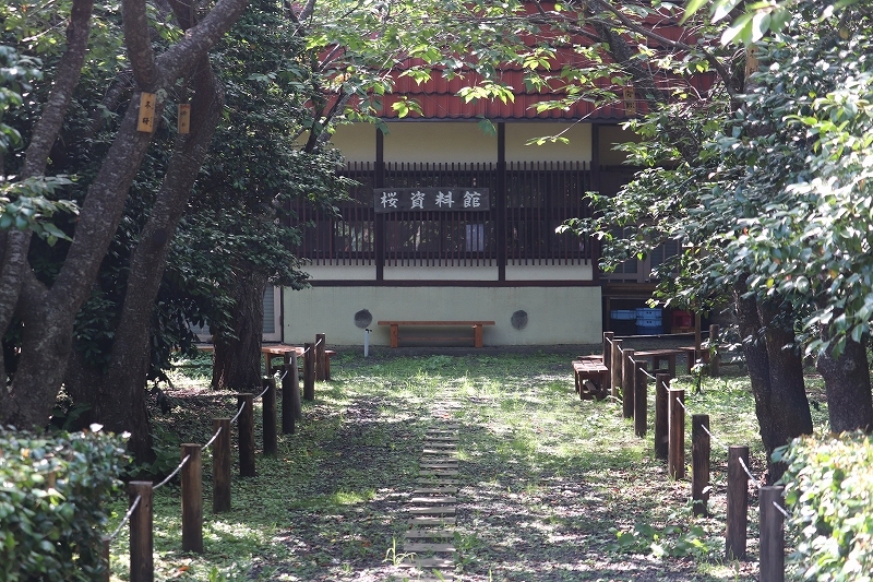 b0250154_21470339.jpg