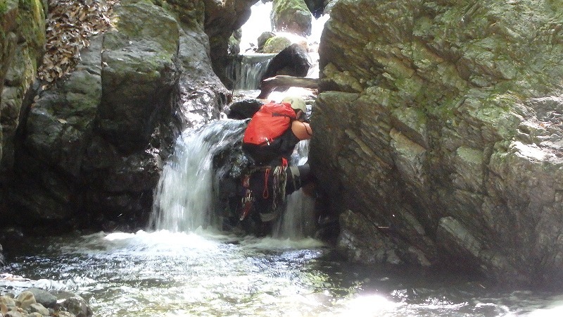 c0097754_16414520.jpg