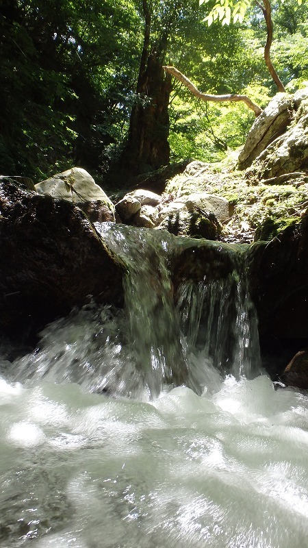 c0097754_16463225.jpg