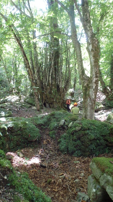 c0097754_16480448.jpg
