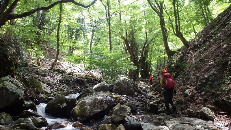 c0097754_16495182.jpg