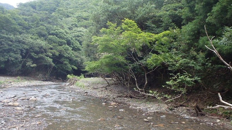 c0097754_16581657.jpg