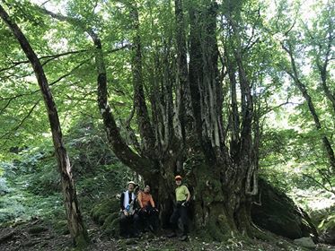 c0097754_16595970.jpg