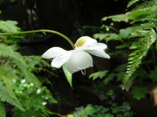 a0018655_15312435.jpg