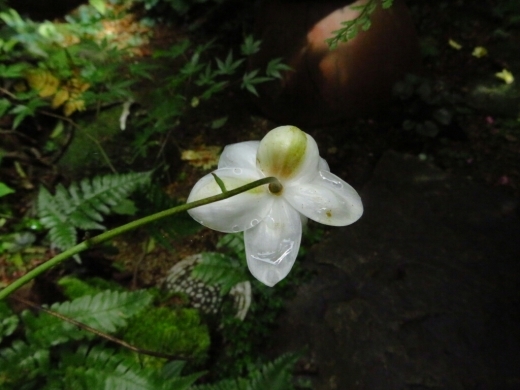 a0018655_15312739.jpg