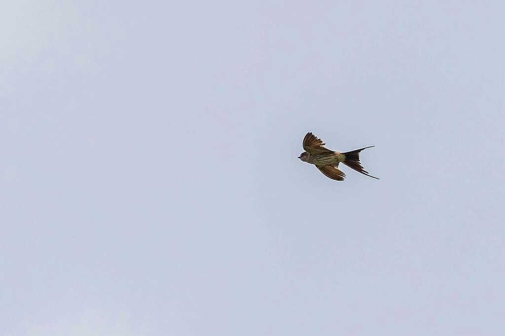 f0044056_08384758.jpg