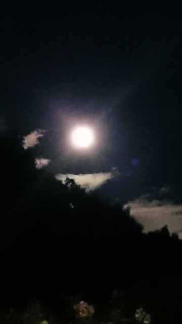 c0328559_20265468.jpg