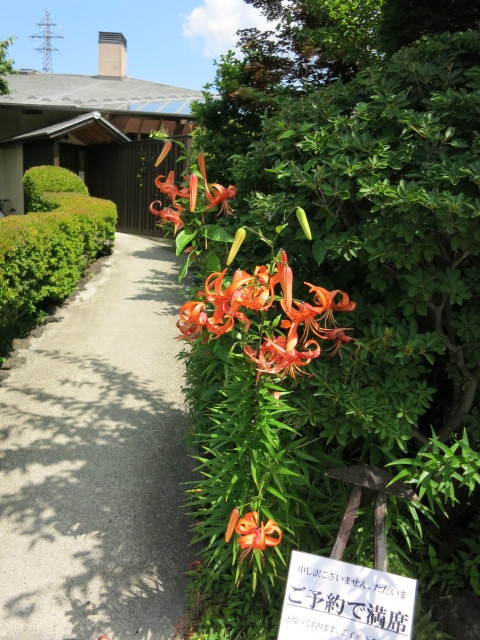 f0236260_19002358.jpg