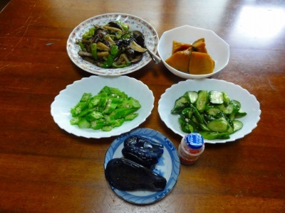 d0074063_07311220.jpg