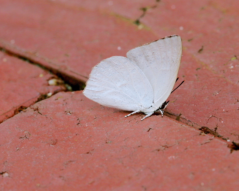 c0305565_17575207.jpg