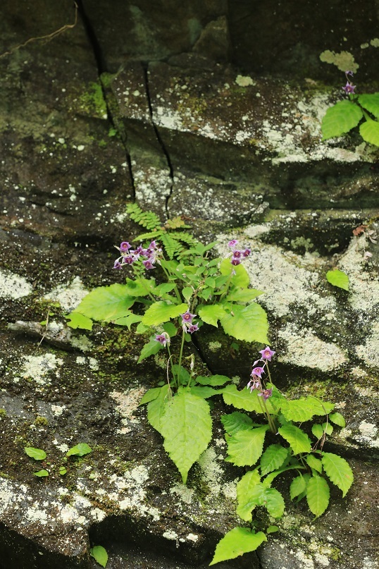 e0304170_19372612.jpg