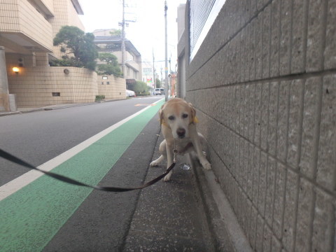 f0052277_01433029.jpg