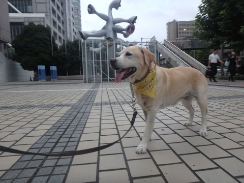 f0052277_01474248.jpg