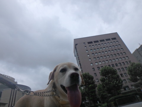f0052277_01491670.jpg
