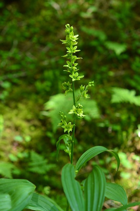 d0341880_08175688.jpg