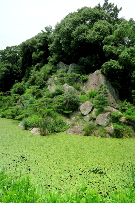 e0191481_12093249.jpg