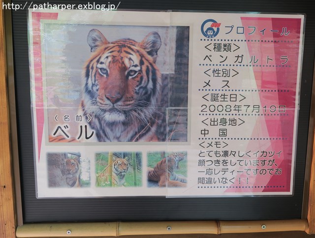 a0052986_7411130.jpg