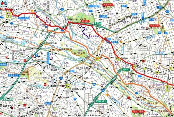 d0183387_19343100.jpg