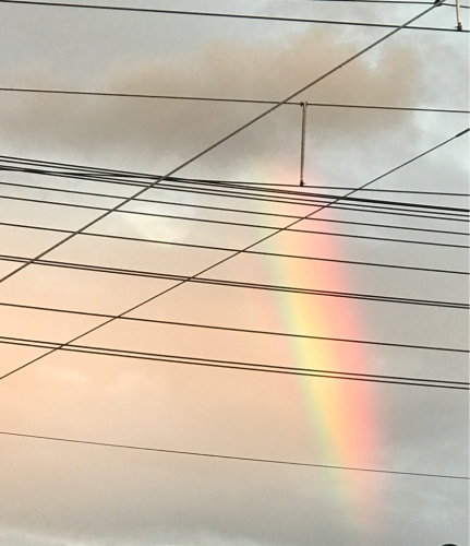 f0339287_11010829.jpg