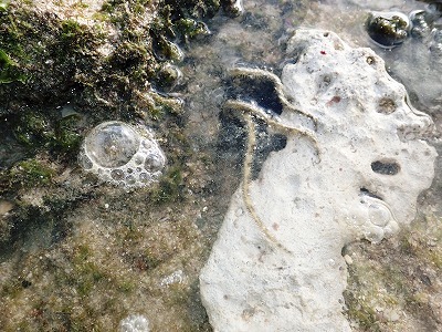 f0338188_09380410.jpg