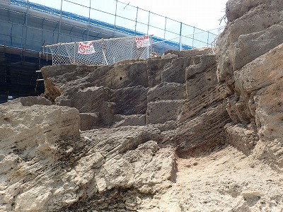 f0338188_23440228.jpg