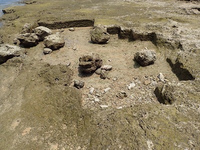 f0338188_23440757.jpg