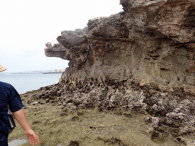 f0338188_23455232.jpg