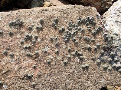 f0338188_23492075.jpg