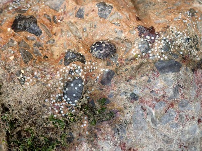 f0338188_23524335.jpg